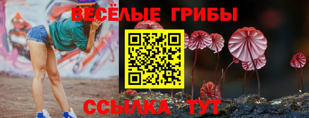 Псилоцибиновые грибы Psilocybine cubensis  Вход с VPN  Усть-Лабинск 